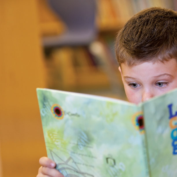 Student reading