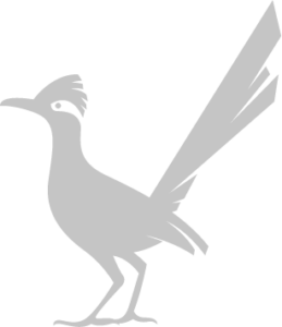 Roadrunner Roadrunner