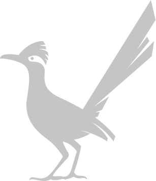 Roadrunner Roadrunner